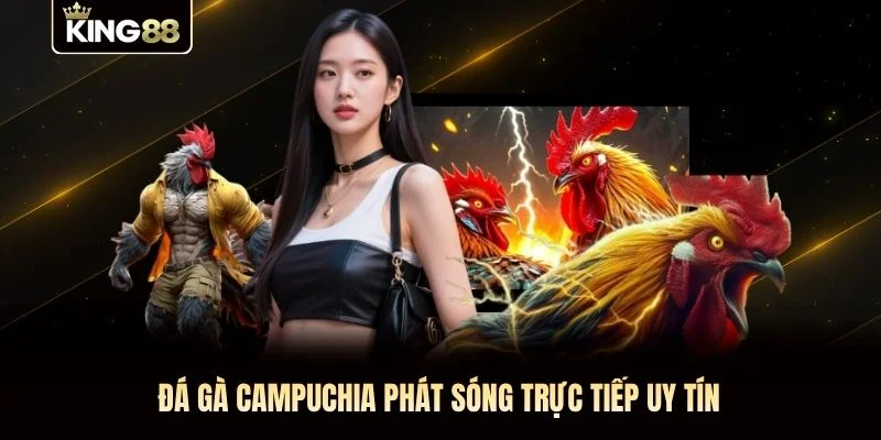 Đá gà Campuchia phát sóng trực tiếp uy tín Đá gà Campuchia phát sóng trực tiếp uy tín