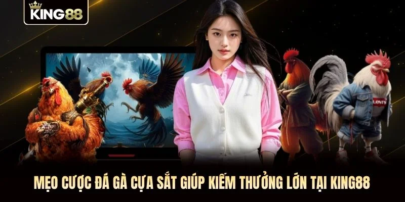 Mẹo cược đá gà cựa sắt giúp kiếm thưởng lớn tại KING88 Mẹo cược đá gà cựa sắt giúp kiếm thưởng lớn tại KING88