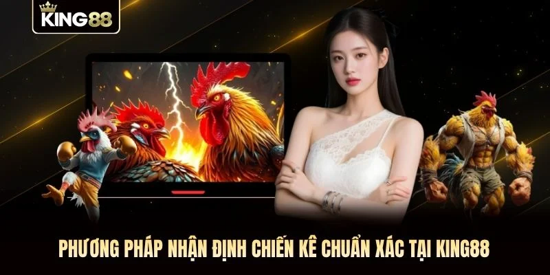 Phương pháp nhận định chiến kê chuẩn xác tại KING88 Phương pháp nhận định chiến kê chuẩn xác tại KING88